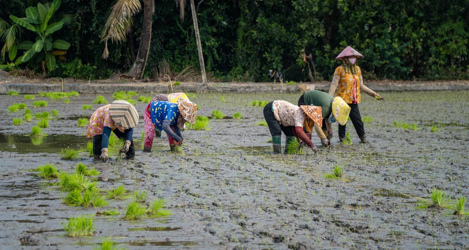 Conquer the Legendary Ho Chi Minh Trail: 9-Day Gravel Bike Adventure Tour